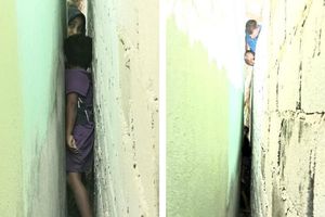 ދެ ފާރުދޭތެރޭ ތާށިވި ކުއްޖަކު ސަލާމަތް ކޮށްފި