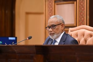 މިއަދު މަޖިލީހުގައި މަސައްކަތް ކުރީ އެންމެ 30 މިނެޓު
