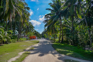 ފީވަކު ގޮނޑުދޮށުން ވެއްޔާއި އަކިރި ނެގުމުން ކައުންސިލް ޖޫރިމަނާ