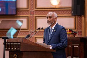 ހައުސިން ލޯނު ދޫކުރަން ފަށާނީ ޖުލައި މަހުގެ ތެރޭގައި: ރައީސް 