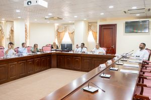 ކޮމިޓީތައް އަޑުއެހުމުގެ ފުރުސަތު ދޭން ގޮވާލައިފި