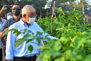 ކަނޑޫދޫގެ ކާބޯތަކެތީގެ މައުރަޒު ރައީސް ހުޅުވައިދެއްވައިފި 