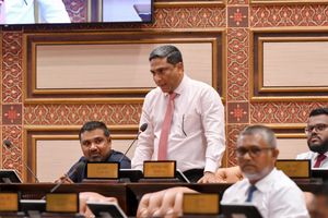 "ޕާސްޕޯޓު މަނާ ކުރާ ބިލު ކުރިއަށް ގެންދިޔުމާމެދު ވިސްނަންޖެހޭ"