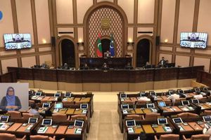 "ނިޒާމު ގެއްލުމުން" ވެސް ފިޔަވަޅު ނާޅާތީ މެންބަރުންގެ ޝަކުވާ