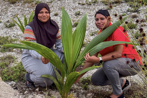 "ގްރޯ ވިތު އުރީދޫ" ގަސް އިންދުމުގެ ޕްރޮގްރާމް އައްޑޫއަށް