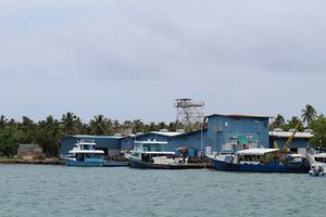 ފެލިވަރުގެ ބިޔަ މަޝްރޫއުގެ ޕްރީކޮލިފިކޭޝަން ފަށައިފި