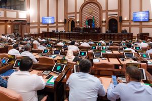 ބަޖެޓުގެ މަސައްކަތް ނިންމަން ކޮމިޓީއަށް އިތުރު ދުވަހެއް