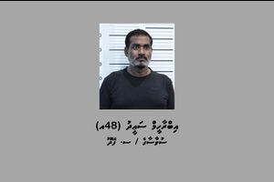 ދިވެއްސަކު ރަހީނުކުރި މައްސަލައެއްގައި މީހަކު ހައްޔަރުކޮށްފި