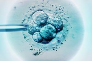 Lab-grown human 'embryos' offer new research hope