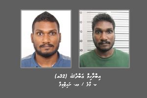 Suspect wanted over attempted murder of MP surrenders