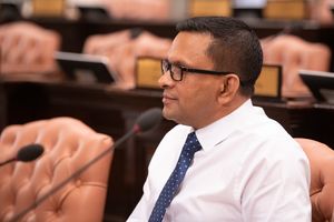 އެމްއެންޕީގެ މެމްބަރުންނާއެކު ދާއިމީ ކޮމިޓީތަކަށް ބަދަލު ގެނެސްފި