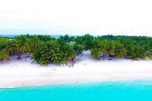 ސިޓީ ހޮޓާ އަޅަން ދިން ބިމަށް ބާރު ނުފޯރުވޭނެ: ވަށަފަރު ކައުންސިލް