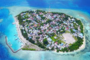 Man burnt in Rasdhoo fire dies in India