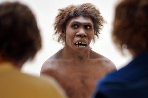 Scepticism about claim ancestors nearly went extinct