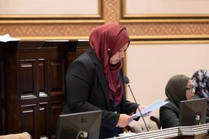 އަމީން އާންމާއި ކައުންސެލްޖެނެރަލް ގަދަރު ކުޑަނުކުރޭ: ނަޝީދު
