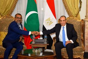 މިސްރުގެ ފޮރިން މިނިސްޓަރާ ހަލީލް ބައްދަލުކުރައްވައިފި 