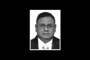 ބުޗާގޭ ދޮންމަނިކު އަވަހާރަވެއްޖެ  