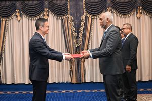 Chinese ambassador presents credentials