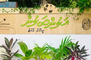 ކުނި މަދުކުރަން ސޮނެވާ ނަމޫނާގެ "އަލުން ބަލުން ރީސޭލް މާކެޓް"