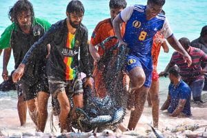 ބުރުނީ ރޯއްޖަށް ތިޔާގި؛ ދިޔަމިގިއްޔަށް 2000 ރާގޮނޑި ހަދިޔާ އަށް!