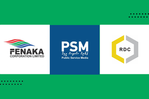 Companies with poor track records not audited regularly
