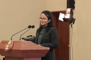 ޝައުނާގެ އިލްތިމާސް: ފިނިހަކަ ދުވެލީގަ މިކަމެއް ނުވާނެ