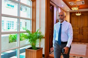 ރައީސްއަށް ލިބިވަޑައިގެންނެވި އަނިޔާގެ ތަފްސީލެއް ނުދިން