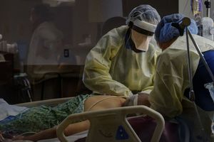 Anti-Covid drug may have led to virus mutations
