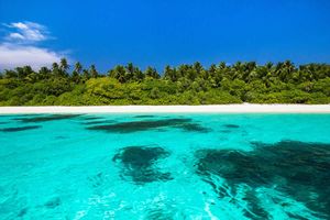 ބަޔަކު ގެނބެނިކޮށް ސަލާމަތްކުރަން އުޅުނު މީހަކު މަރުވެއްޖެ