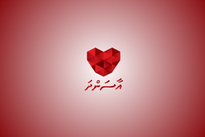Co-payment model for Aasandha ruled out